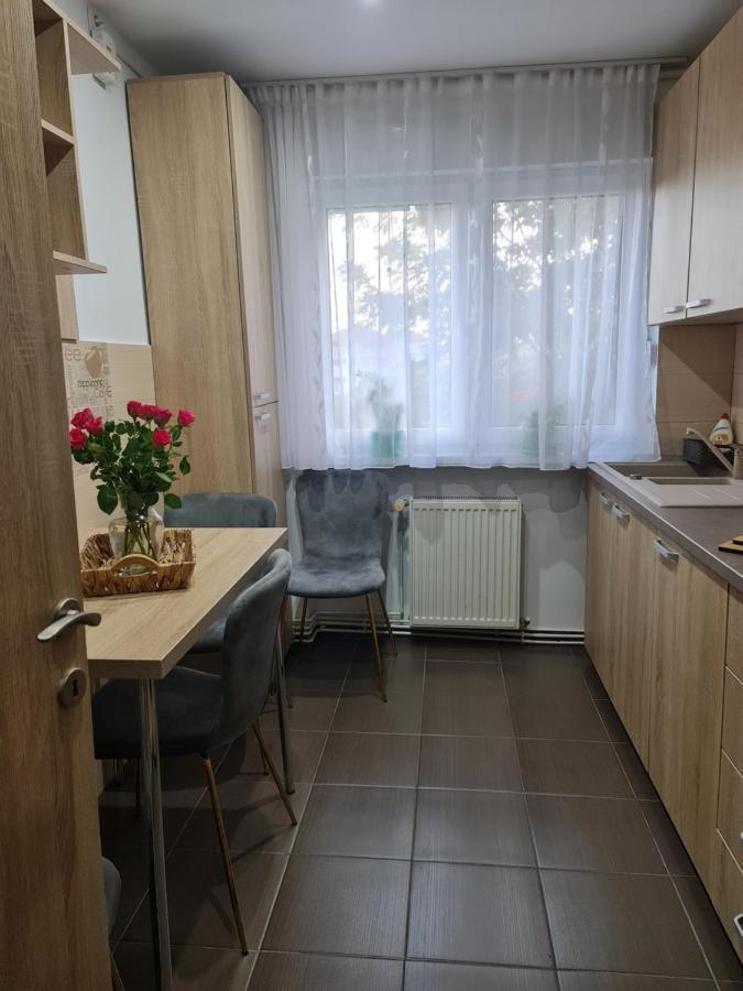 Apartament Modern Cristina&Jessica Mediaş المظهر الخارجي الصورة