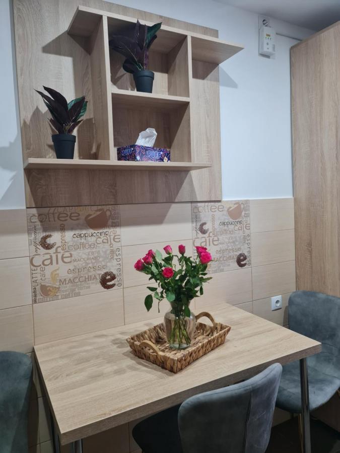 Apartament Modern Cristina&Jessica Mediaş المظهر الخارجي الصورة