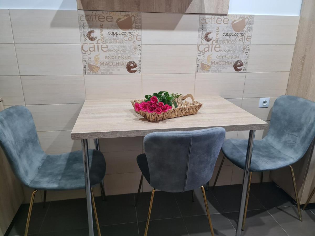 Apartament Modern Cristina&Jessica Mediaş المظهر الخارجي الصورة