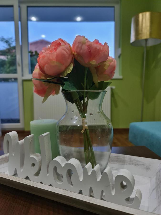 Apartament Modern Cristina&Jessica Mediaş المظهر الخارجي الصورة