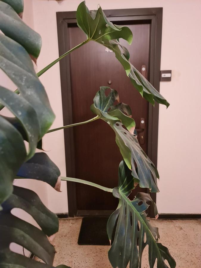 Apartament Modern Cristina&Jessica Mediaş المظهر الخارجي الصورة