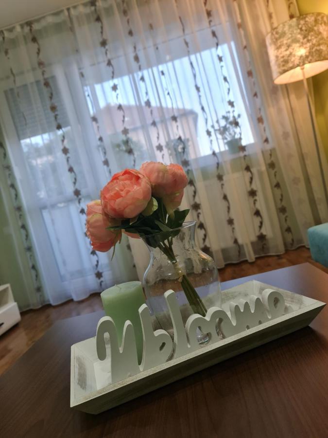 Apartament Modern Cristina&Jessica Mediaş المظهر الخارجي الصورة