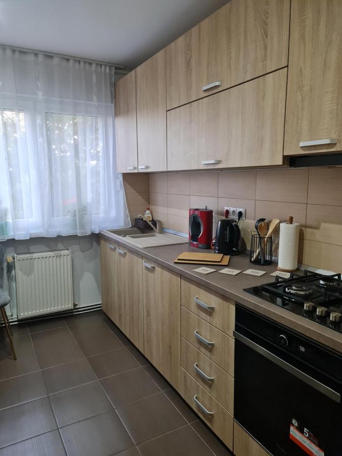 Apartament Modern Cristina&Jessica Mediaş المظهر الخارجي الصورة