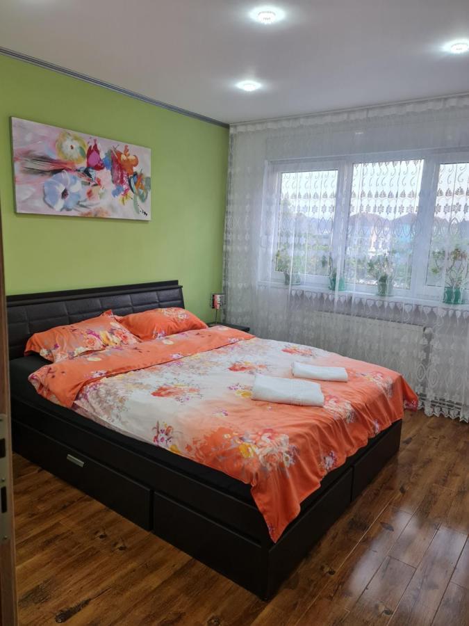 Apartament Modern Cristina&Jessica Mediaş المظهر الخارجي الصورة