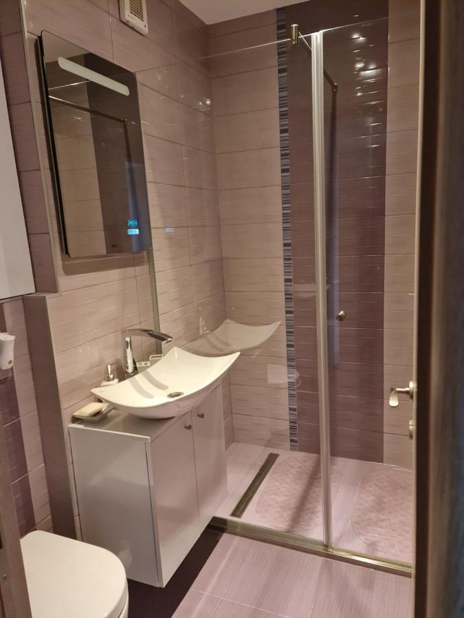 Apartament Modern Cristina&Jessica Mediaş المظهر الخارجي الصورة