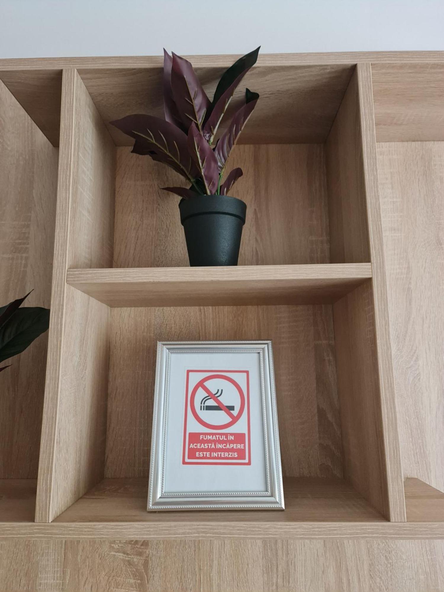 Apartament Modern Cristina&Jessica Mediaş المظهر الخارجي الصورة