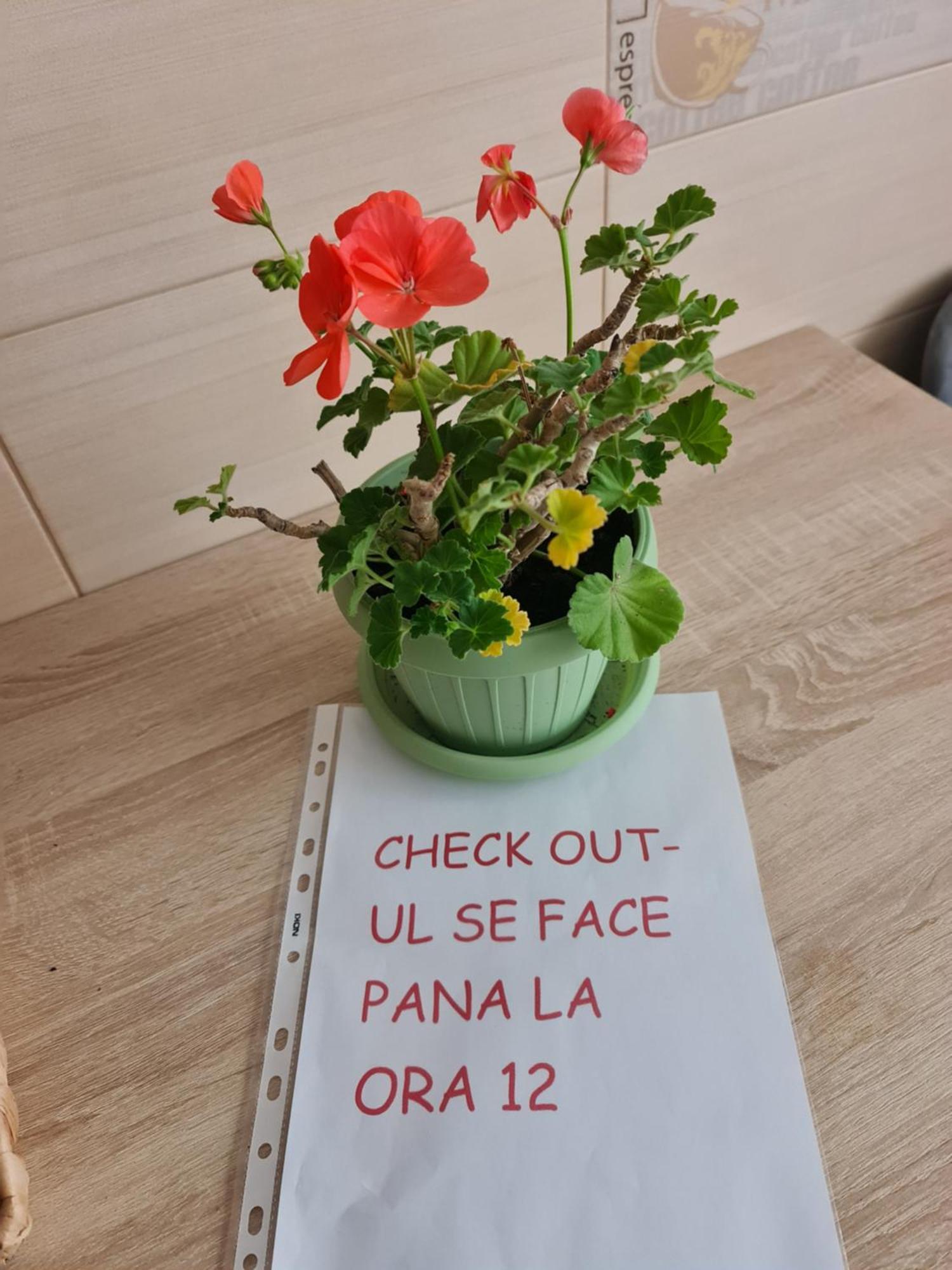 Apartament Modern Cristina&Jessica Mediaş المظهر الخارجي الصورة