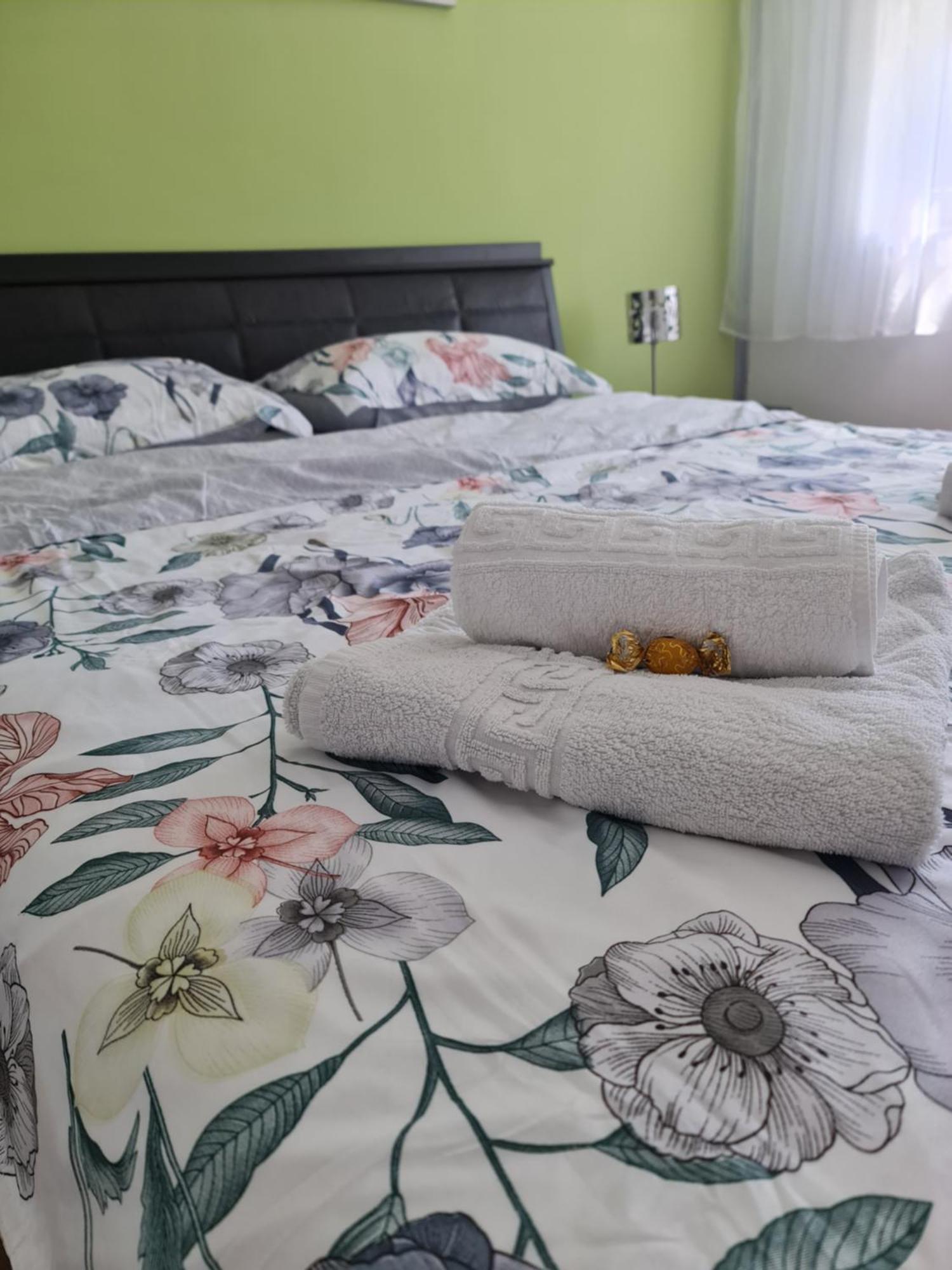 Apartament Modern Cristina&Jessica Mediaş المظهر الخارجي الصورة